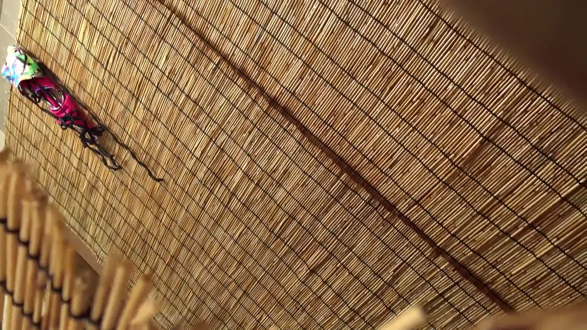 海岸上的海灘派對：穿著比基尼的女孩瘋狂自慰 - AV大平台 - 中文字幕，成人影片，AV，國產，線上看